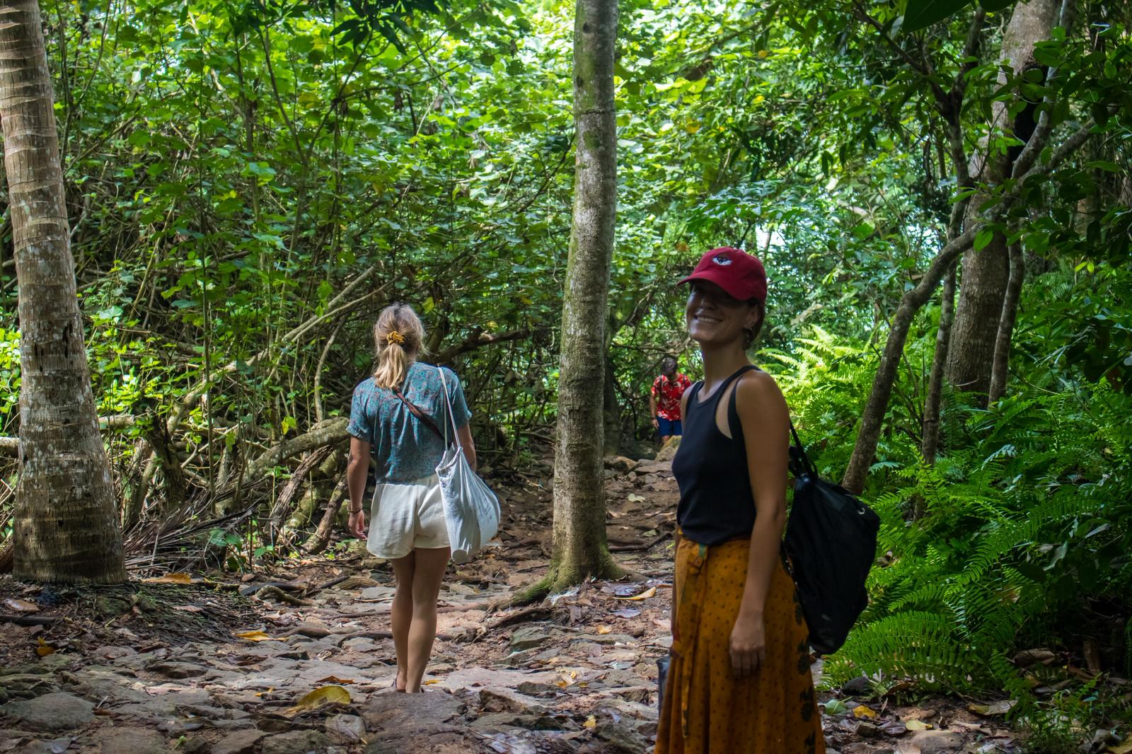 Jungle trekking trail