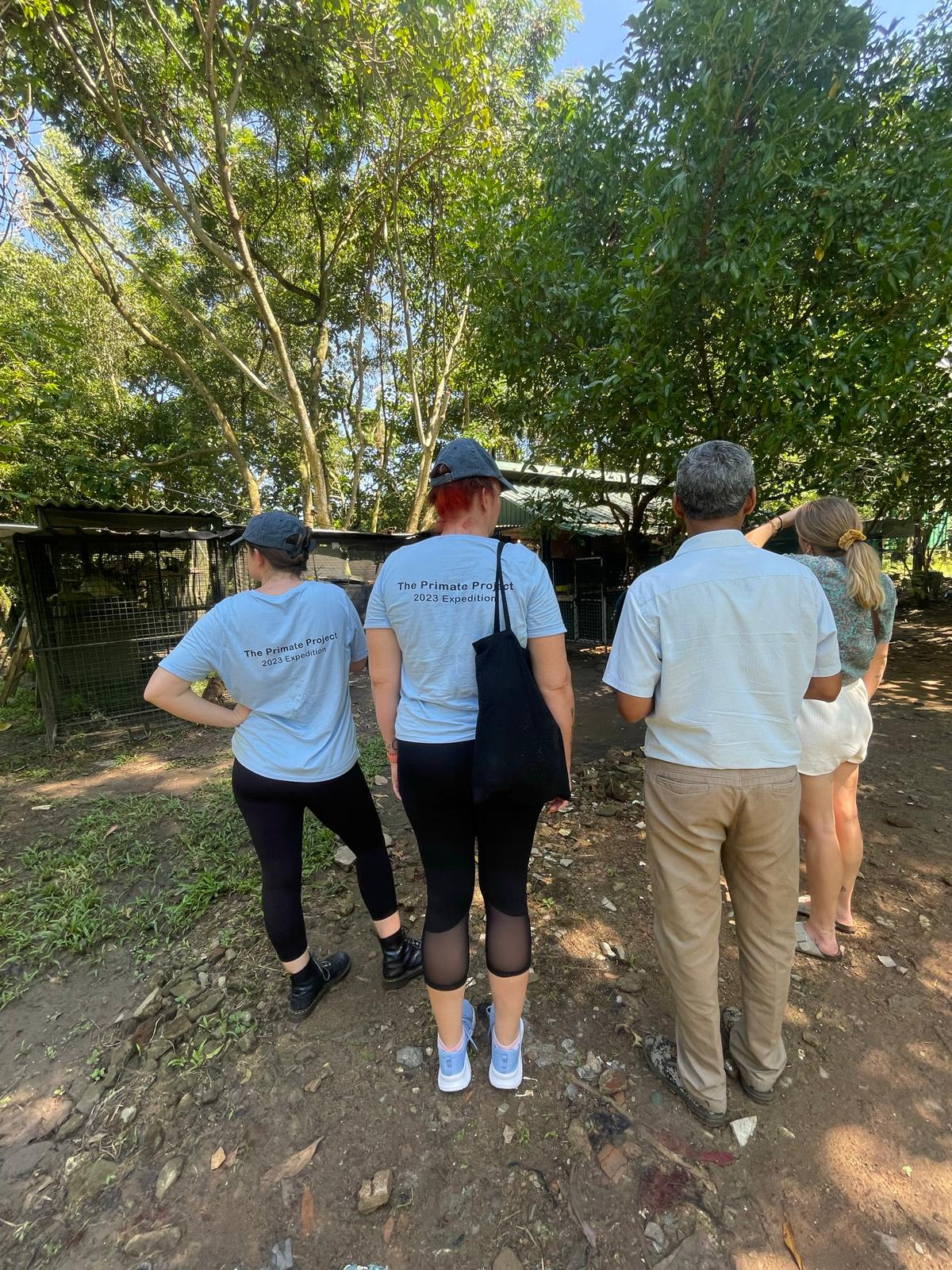 Wildlife watching on safari
