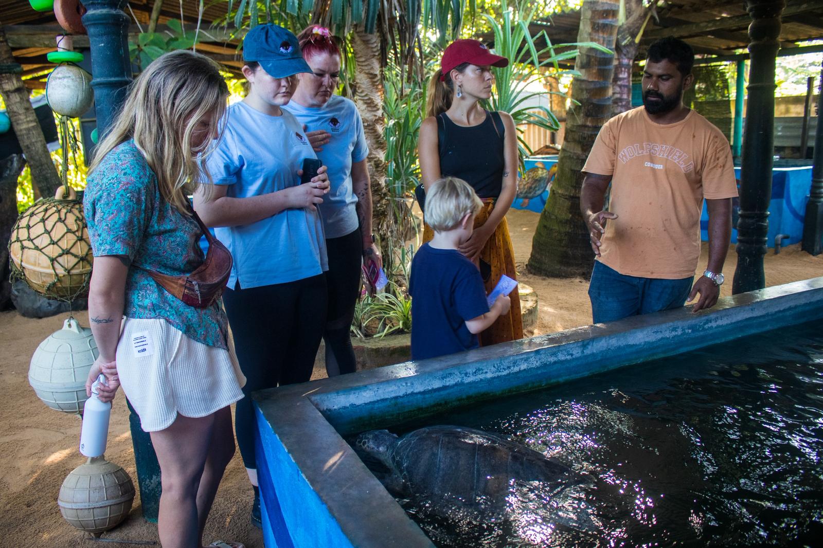 Group at the turtle rehabilitation tank